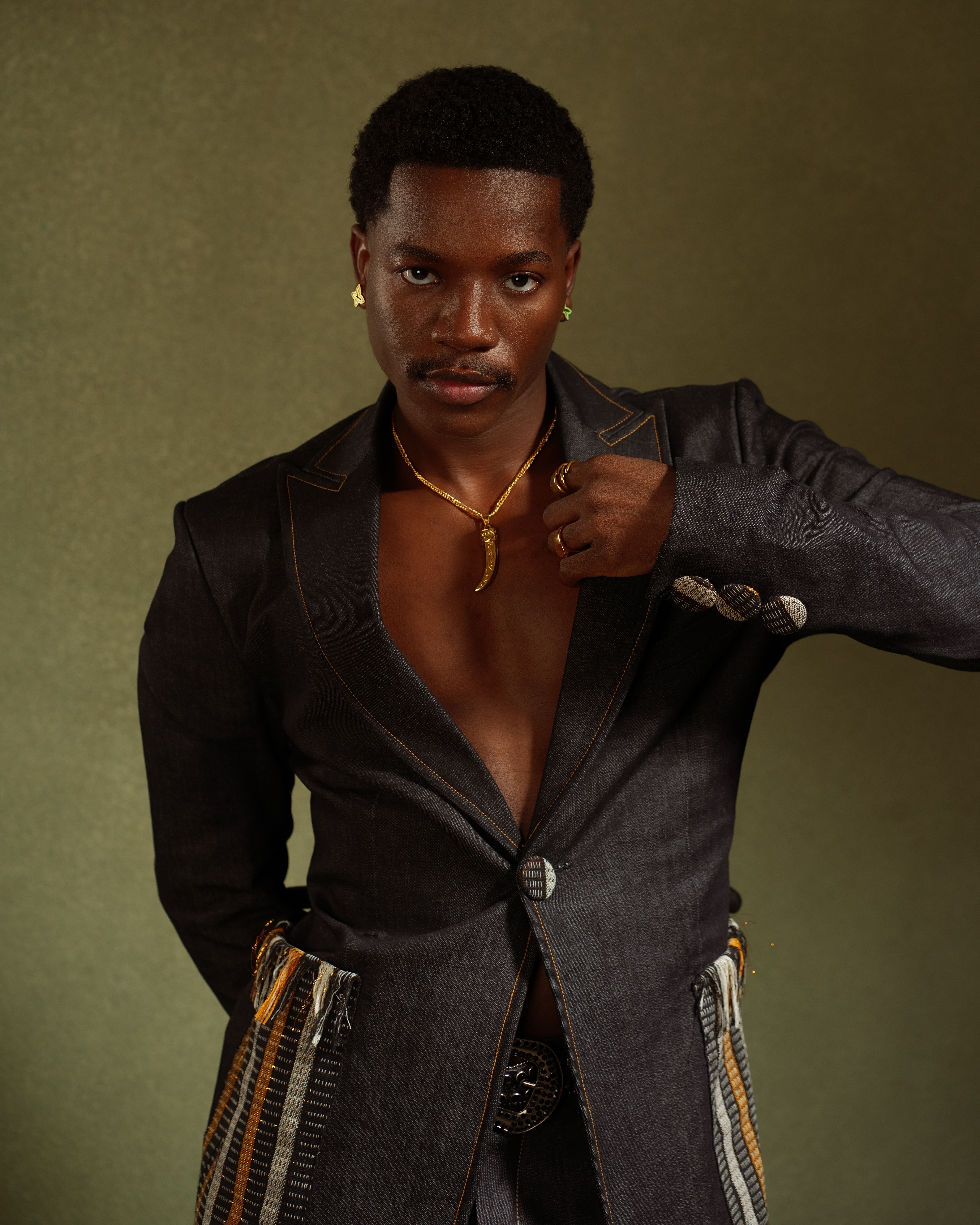 The Art Jacket image