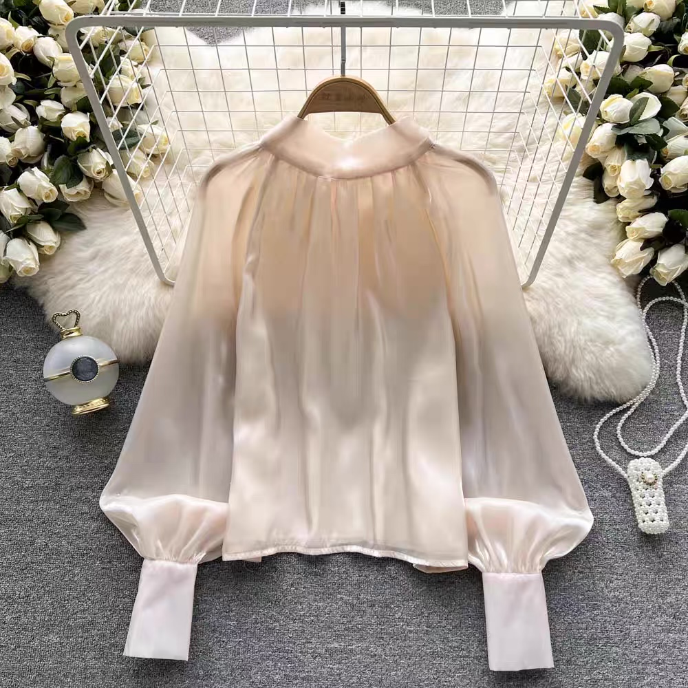 Rough lover sheer top TZZ569 image