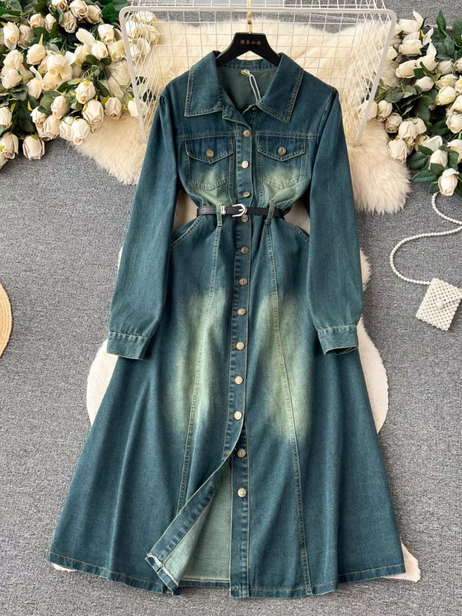 Not in Kansas denim dress & belt DD14 image