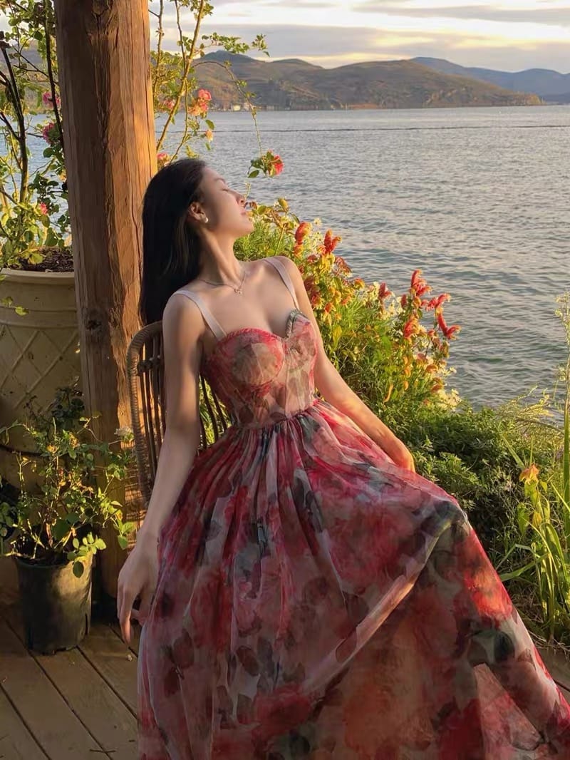 Higher than your hopes corset dress CD85 image