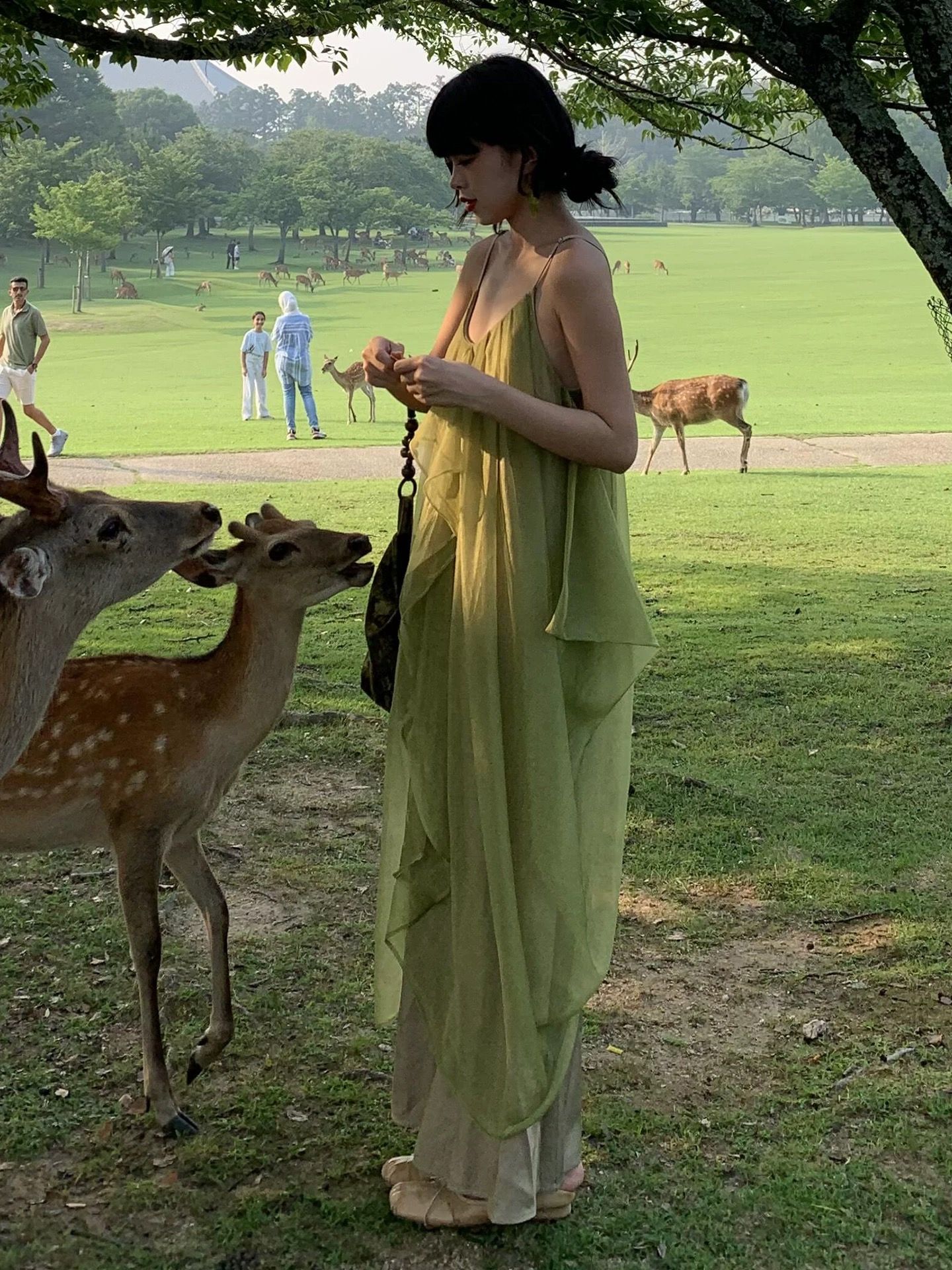 Bring the flowers dress CD2148 image