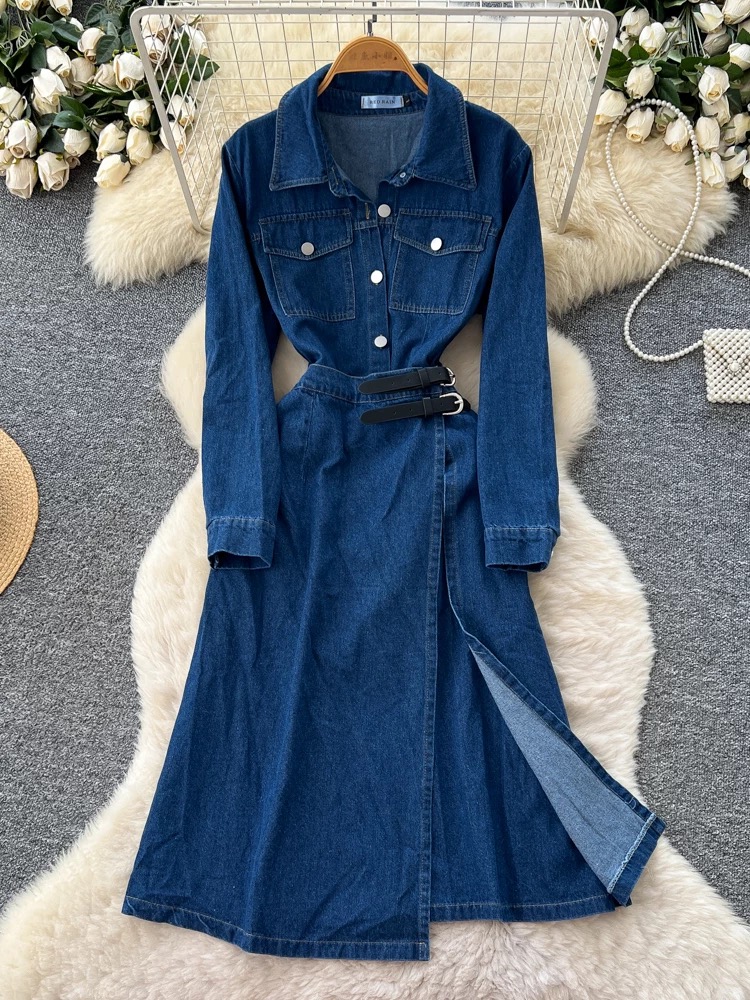 Hear the roar denim dress DD115 image