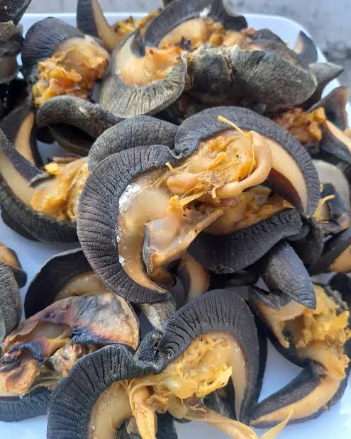 Farm fresh snails image